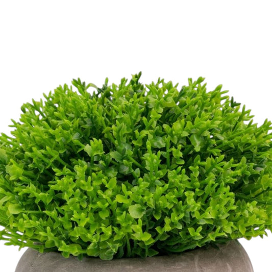 Planta artificiala, tip Buxus, cu ghiveci de hartie, Naimeed D6934, 12x10 cm, Verde