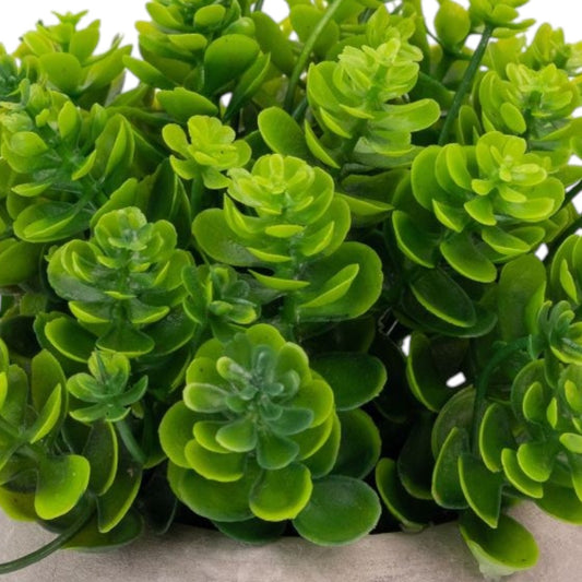 Planta artificiala, tip Kalanchoe, cu ghiveci de hartie, Naimeed D6935, 12x10 cm, Verde