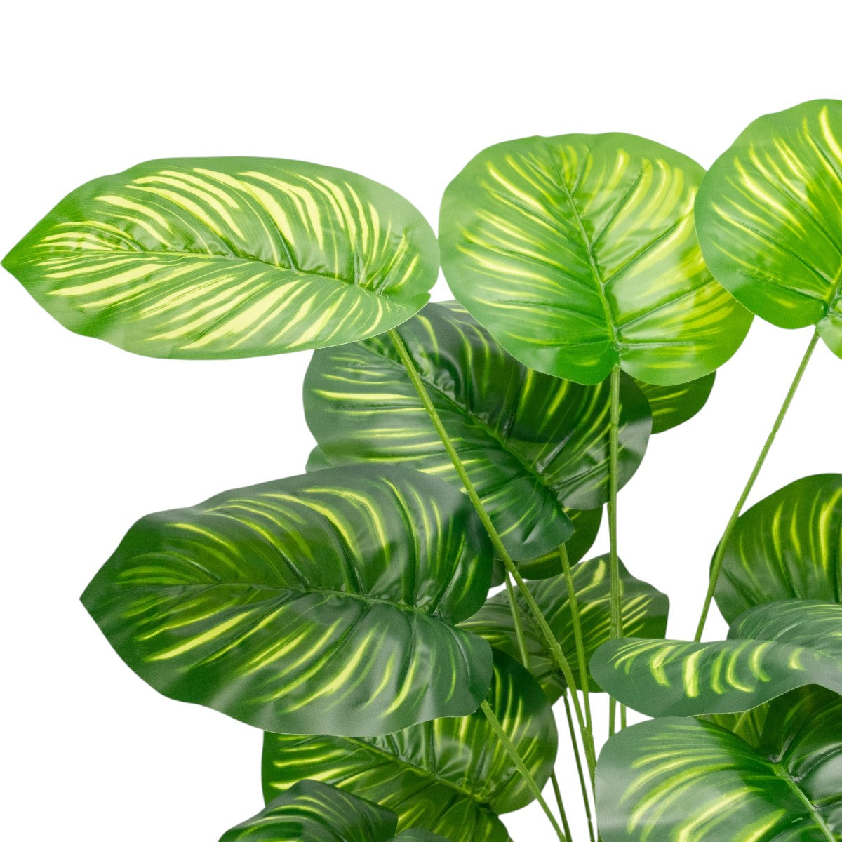 Planta decorativa artificiala, fara ghiveci, tip Philodendron Birkin, Naimeed D6944, 88 cm, Verde