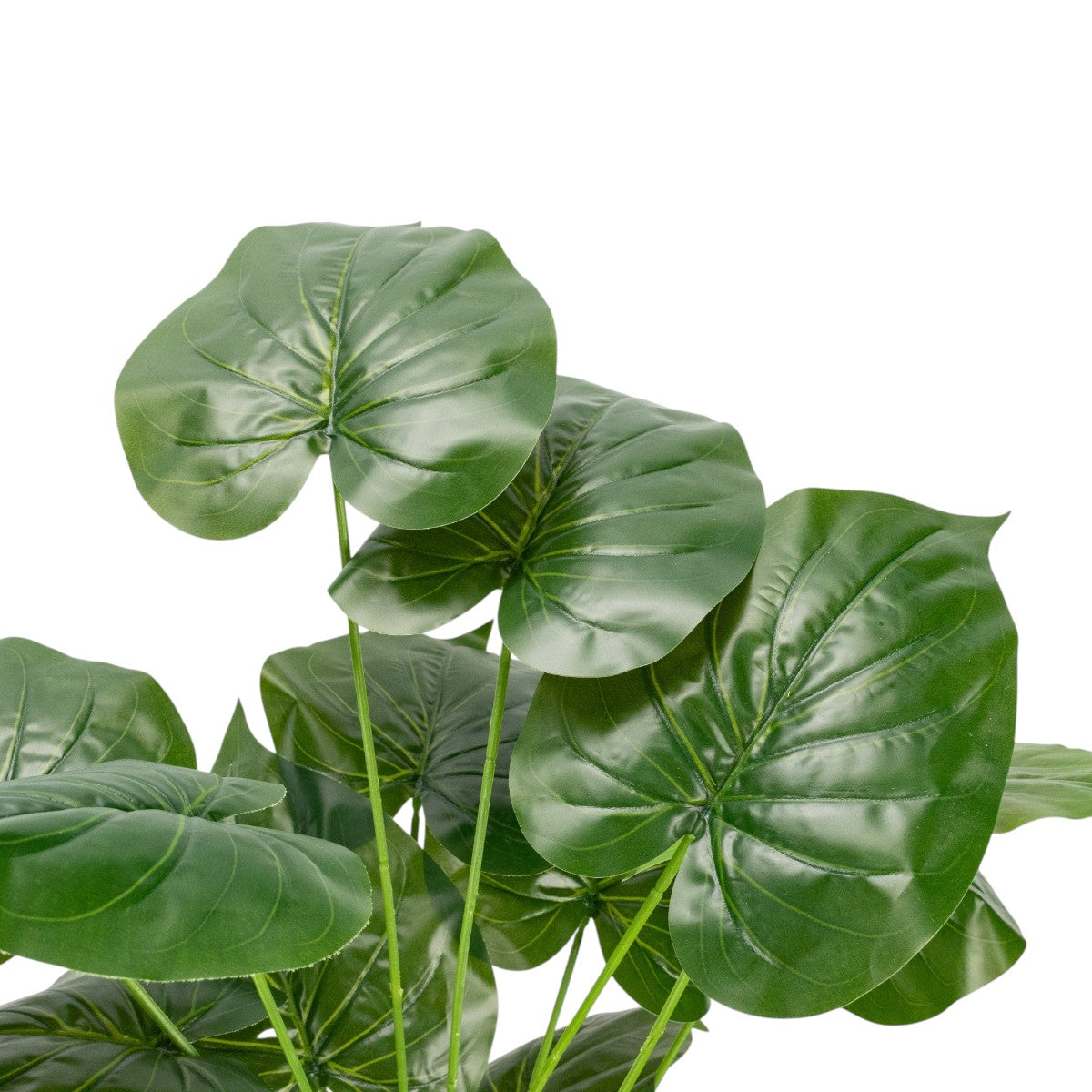 Planta decorativa artificiala, fara ghiveci, tip Monstera, Naimeed D6945, 88 cm, Verde