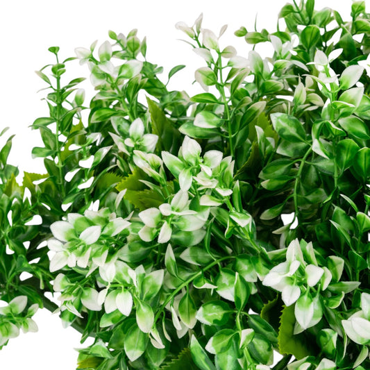 Planta decorativa artificiala, fara ghiveci, tip Buxus, Naimeed D6966, 80x40 cm, Alb/Verde