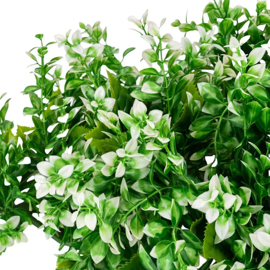 Planta decorativa artificiala, fara ghiveci, tip Buxus, Naimeed D6966, 80x40 cm, Alb/Verde - 221.ro