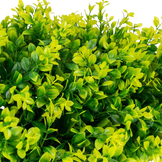 Planta decorativa artificiala, fara ghiveci, tip Buxus, Naimeed D6966, 80x40 cm, Galben/Verde
