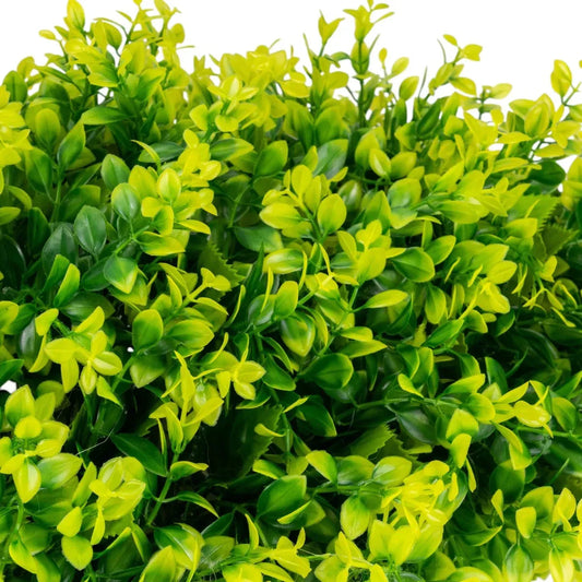Planta decorativa artificiala, fara ghiveci, tip Buxus, Naimeed D6966, 80x40 cm, Galben/Verde - 221.ro
