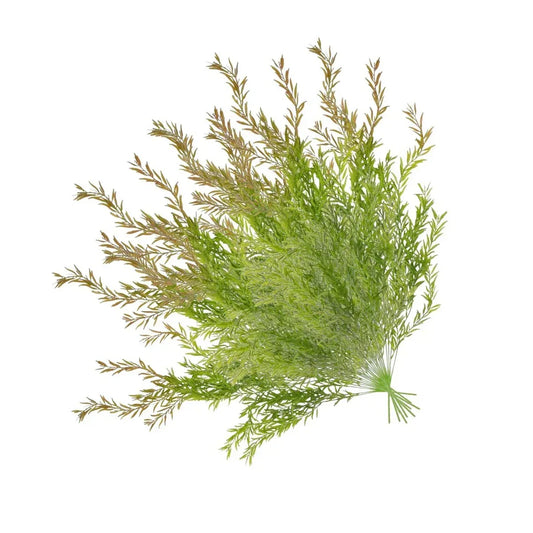 Set 2 plante artificiale curgatoare, 5 fire, lungime 85cm, Naimeed D7016, Rosu - 221.ro