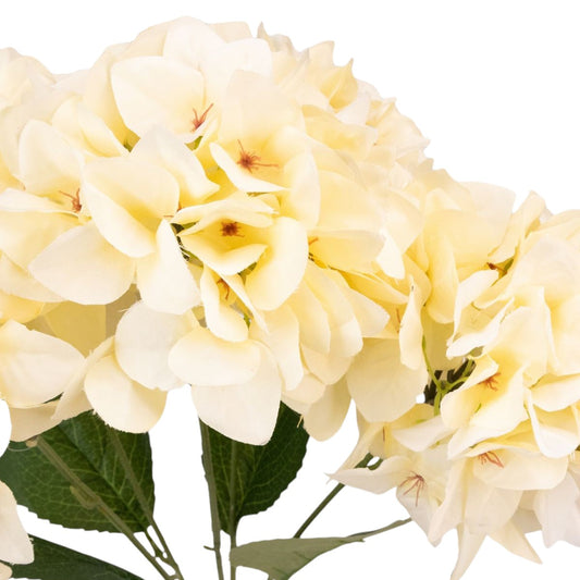 Buchet floare artificiala, Hortensie cu 5 ramuri si 6 capete, 50 cm, Naimeed D7032, Crem