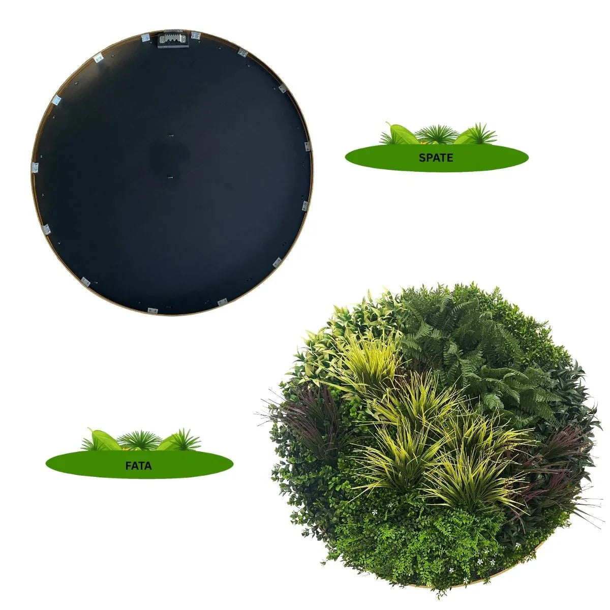 Aranjament decorativ, de perete, cu ramă din aluminiu și plante artificiale Naimeed D7464, diametru 100 cm - 221.ro