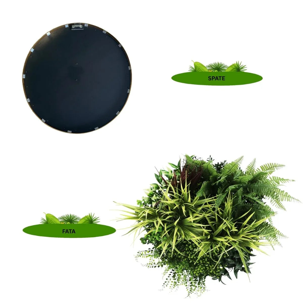 Aranjament decorativ, de perete, cu ramă din aluminiu și plante artificiale Naimeed D7467, diametru 50 cm - 221.ro