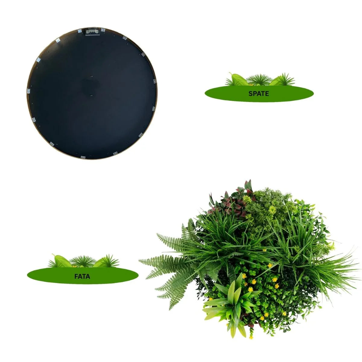 Aranjament decorativ, de perete, cu ramă din aluminiu și plante artificiale Naimeed D7468, diametru 50 cm - 221.ro