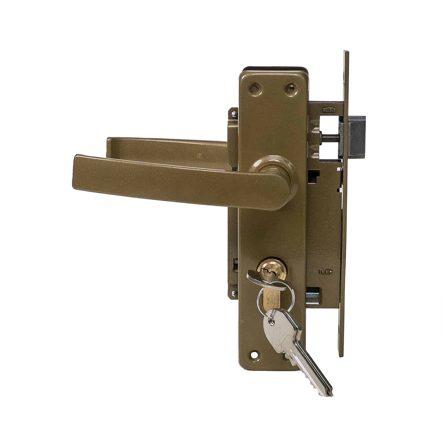 Pachet Broasca cu cilindru Y 54 Oro / EXT 5522