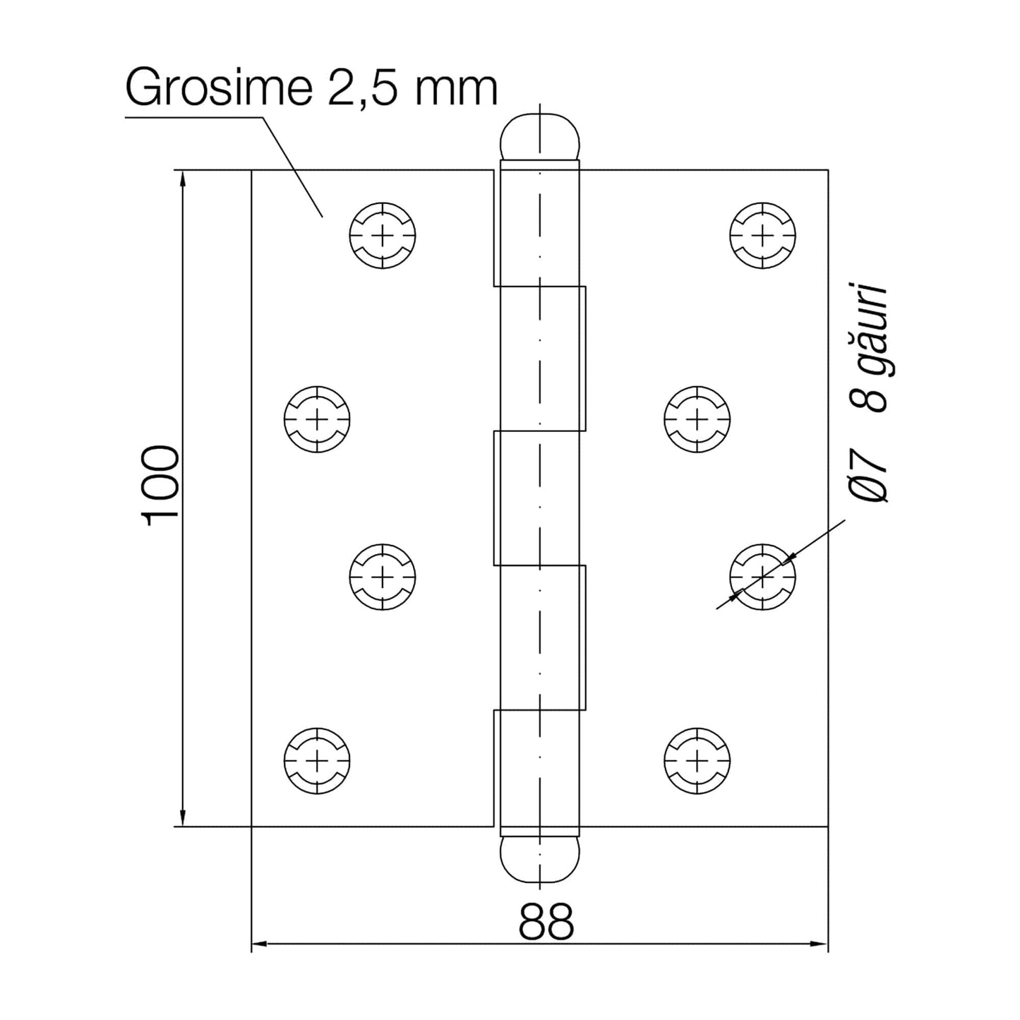 Balama Usa Aplicata 100/88 AZ - 221.ro