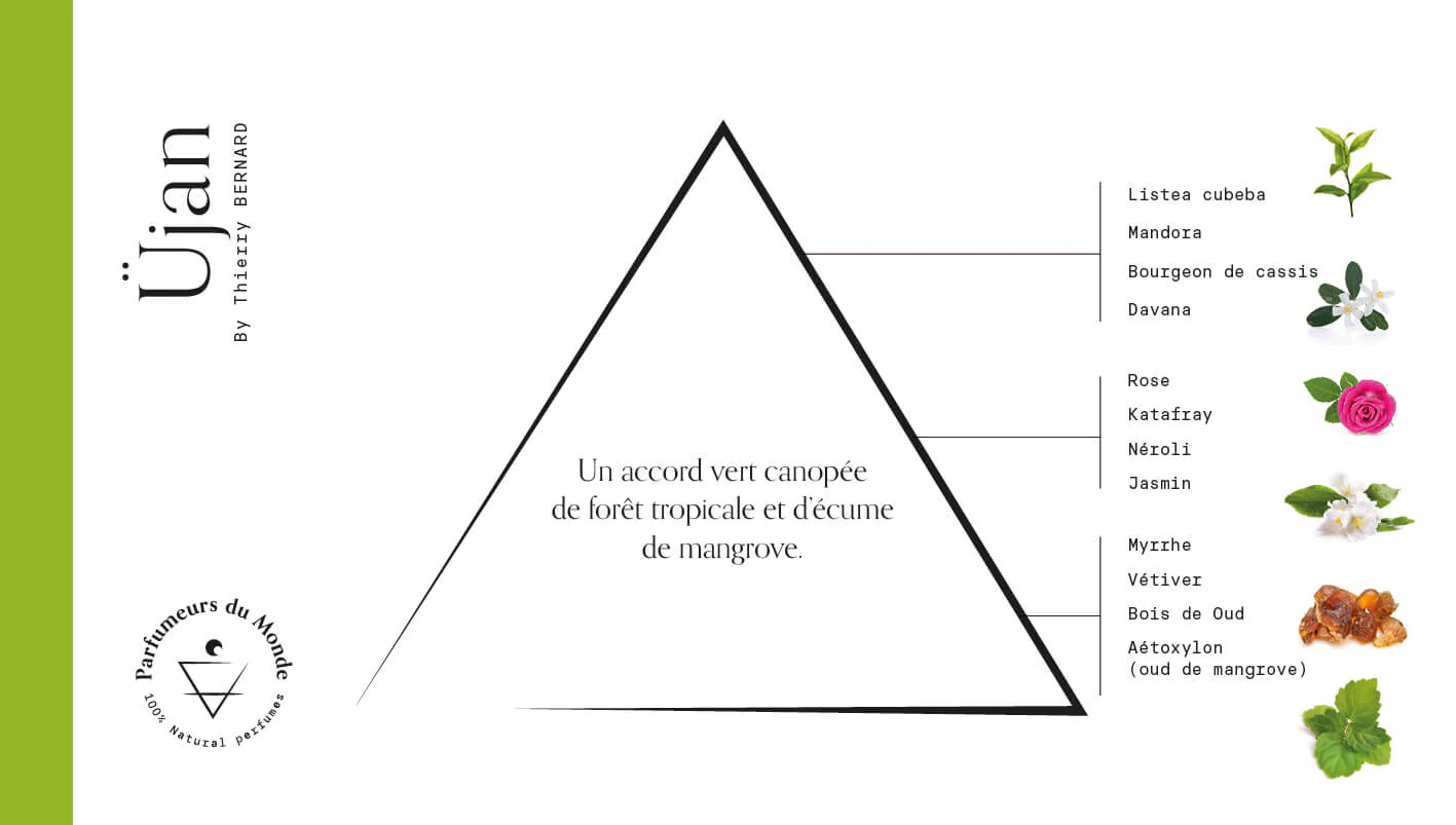 Apa de parfum, Üjan, 50ml by Thierry BERNARD