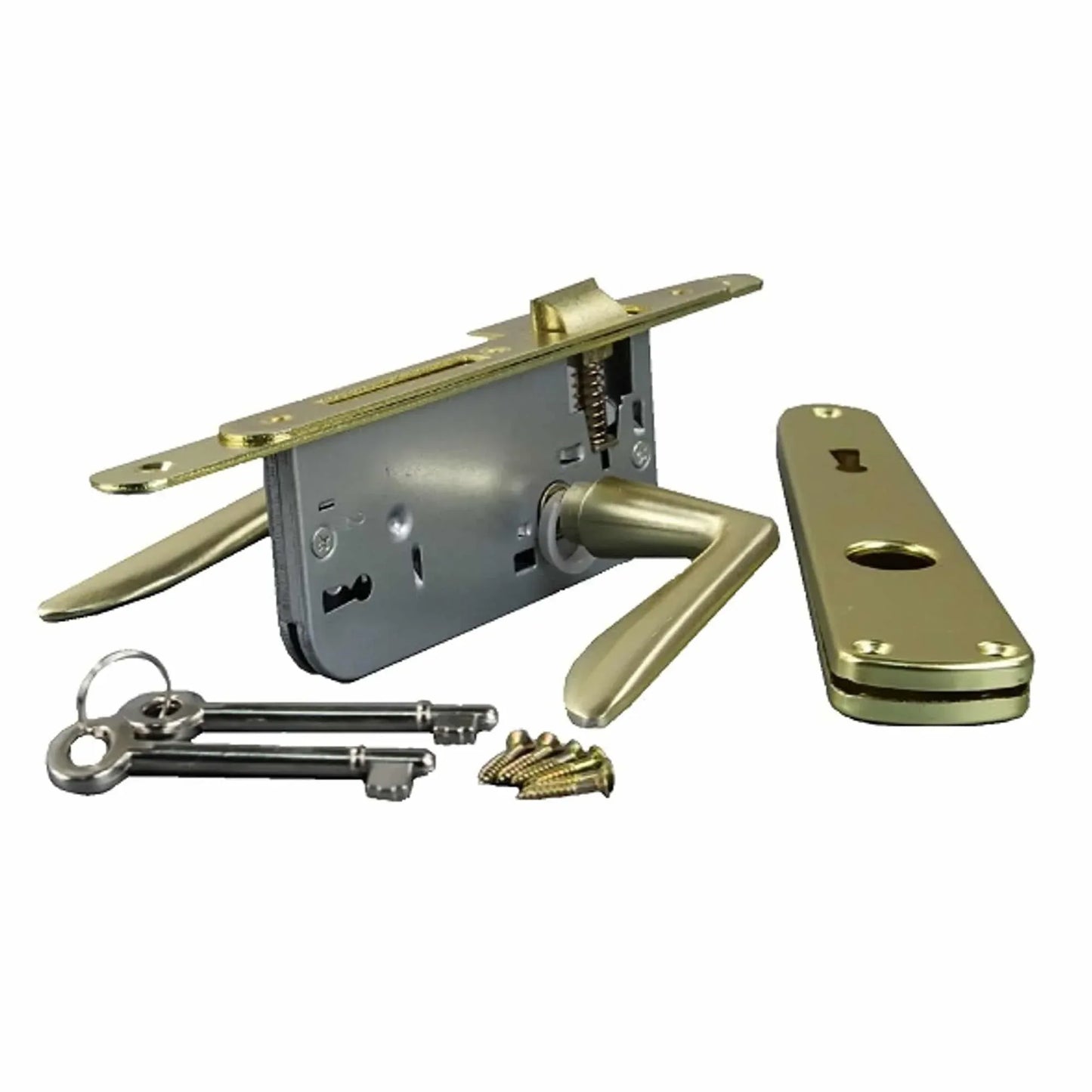 Broasca pentru usa W240 / ZLN 1915 - 221.ro