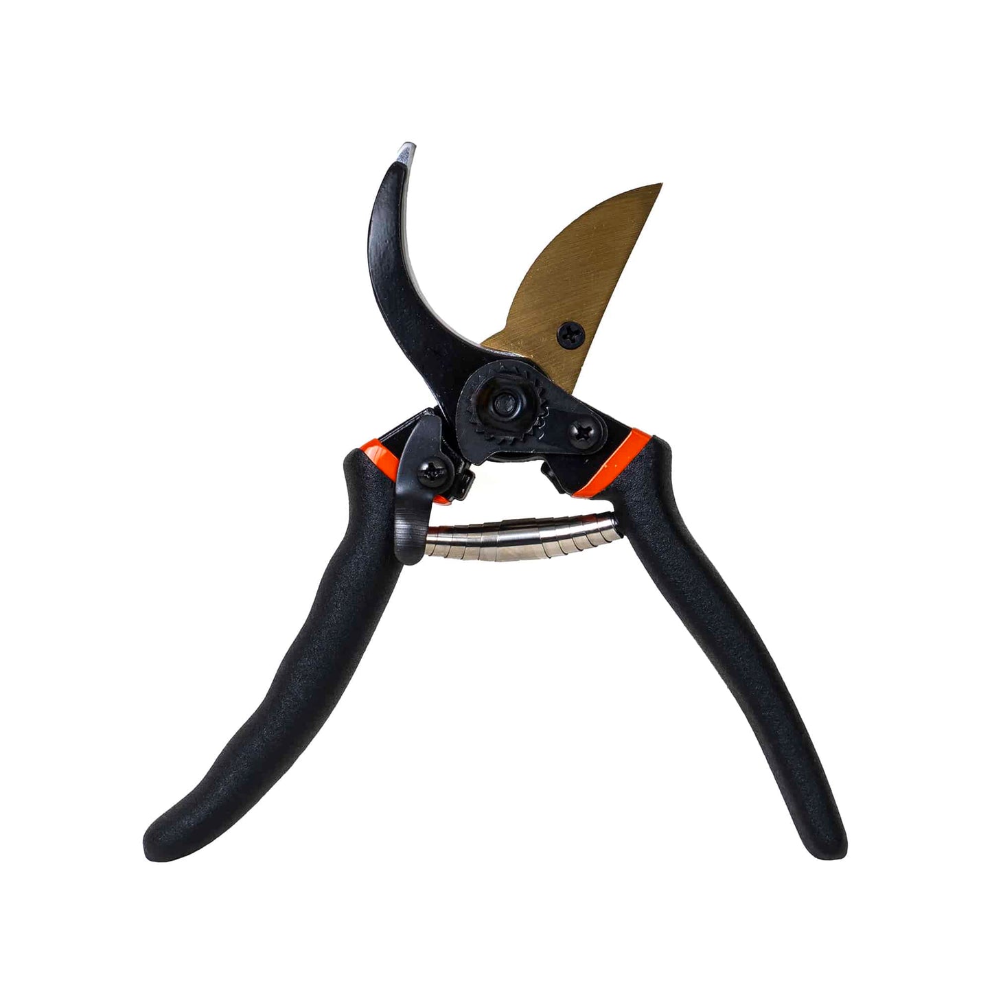 Foarfeca profesionala pentru vita de vie, 20mm / ZLN 5876 - 221.ro