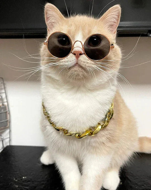Colier pentru Pisici Gangsta