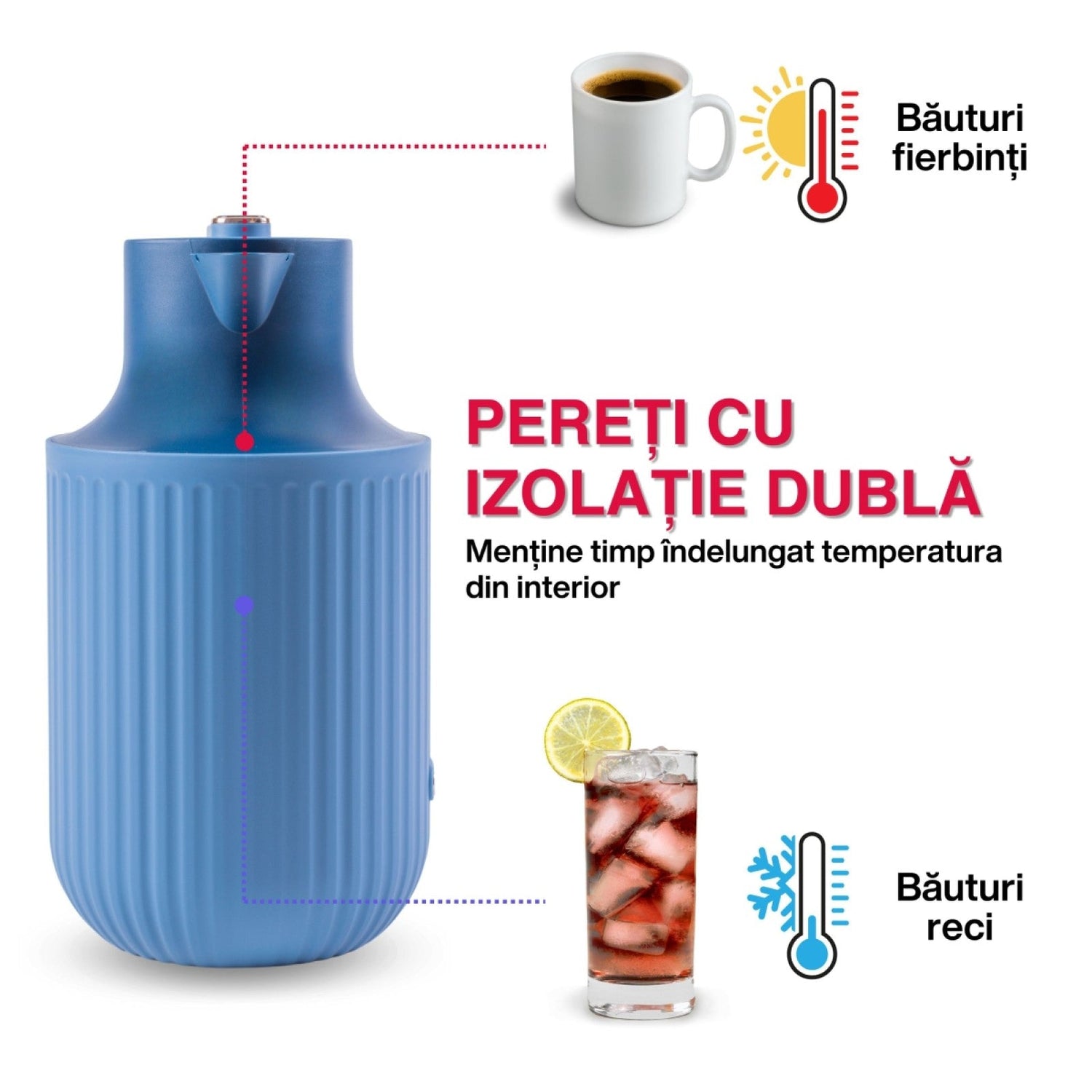 Termosuri si Cani termos