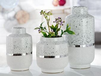 Vaze si Boluri Decorative