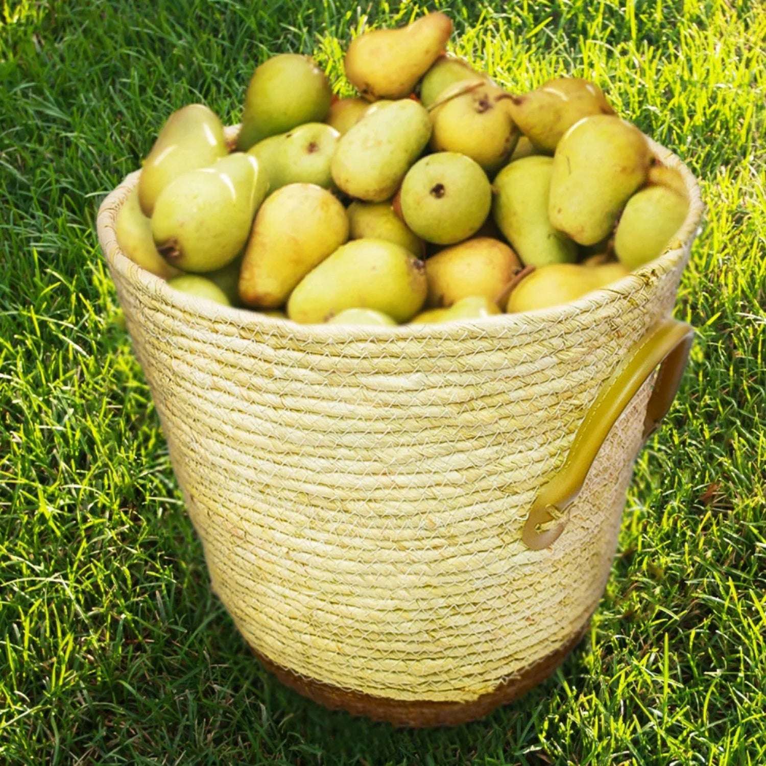 Cosuri depozitare - 221.ro