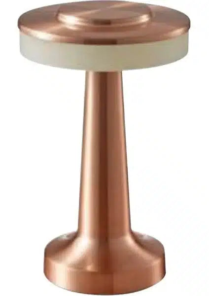 Lampa pentru birou, 2W, incarcare USB, PRONTO 3CCT, rose, HOROZ / 050-002-0001