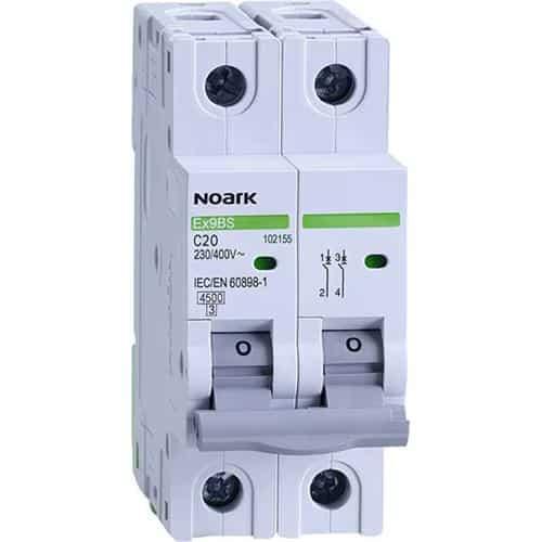 Siguranță automată, 2 poli, 20A, Noark, gri / 102155