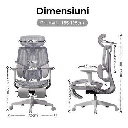Scaun Ergonomic Timebox, Mesh Tetiera 4D Brate 4D Suport Picioare, Gri