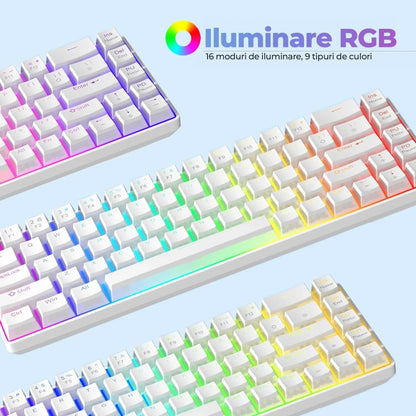 Tastatura Mecanica Gaming Timebox, 60%, iluminare RGB, 68 taste PBT Pudding, cu cablu Type-C, Red Swtich, Portabila, Alb - 221.ro