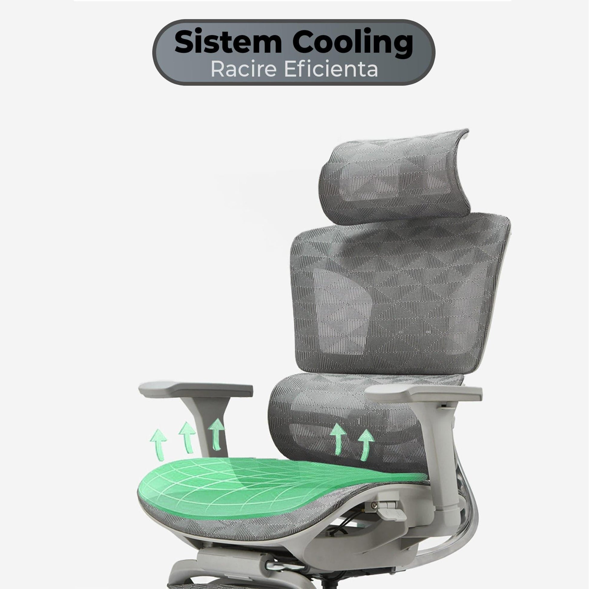 Scaun ergonomic Timebox, Reglare inaltime spatar in 6 pozitii 150°, Cotiere 5D, Plasa Mesh, Profil lombar flexibil, Spatar si Baza din aluminiu durabil, pana la 150 kg, Gri - 221.ro