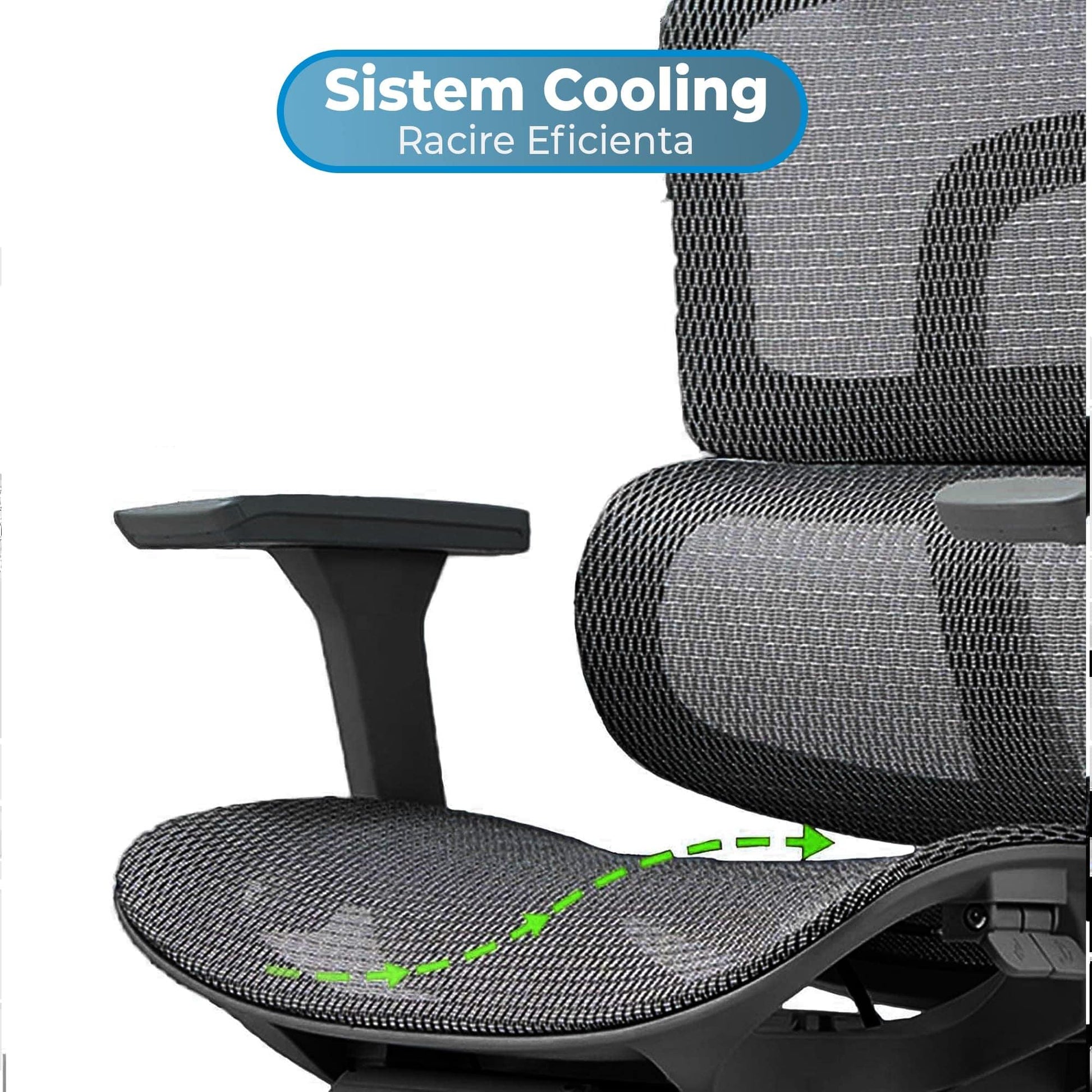 Scaun ergonomic Timebox, Reglare inaltime, spatar in 6 pozitii 150°, Cotiere 4D, Plasa Mesh, Profil lombar flexibil, Suport Picioare, Baza din aluminiu durabil, pana la 150 kg, Negru - 221.ro