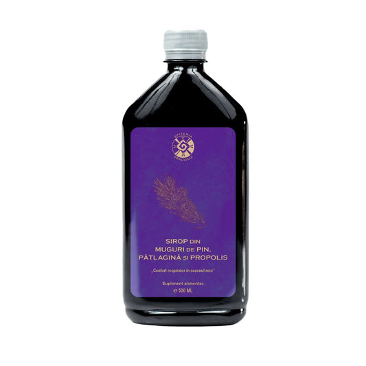 Leac Bătrânesc pentru Tuse și Bronșii – Sirop Muguri de Pin, Pătlagină și Propolis | 500ml