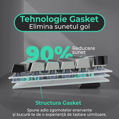 Pachet Gaming Timebox, Blue Switch, 75%, Hot-Swap, Wireless, Negru