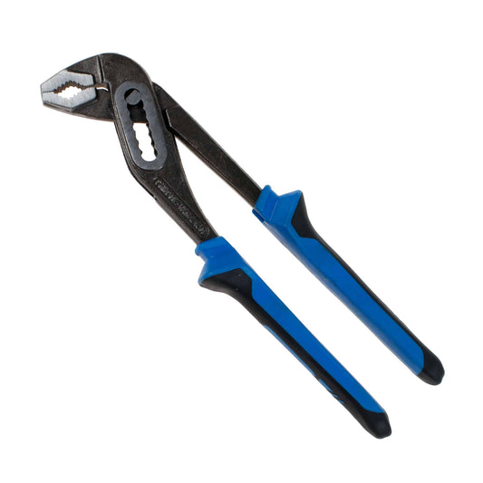 Cleste papagal , 250 mm / ZLN 8479