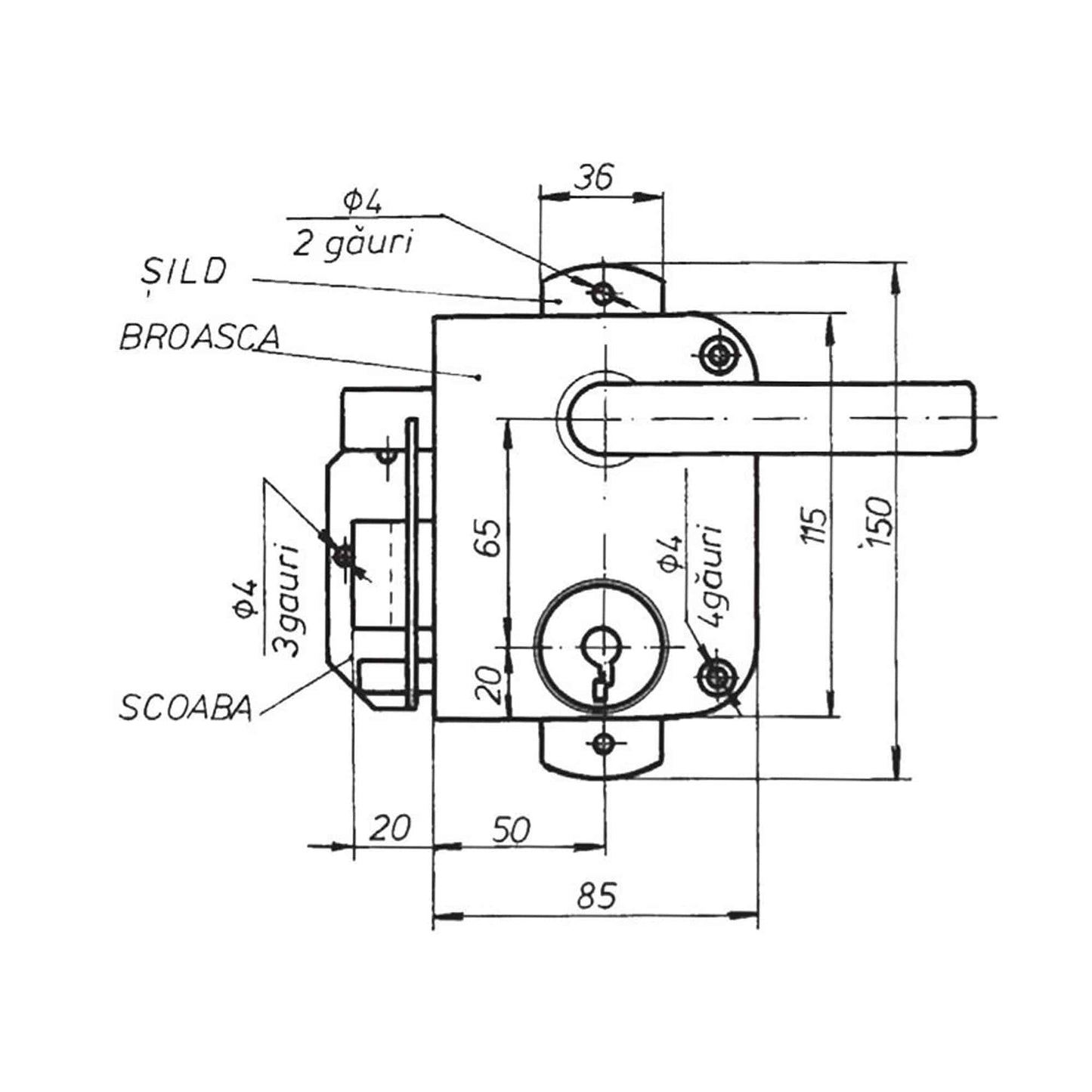 Broasca aplicata dreapta 12-08 / 4570