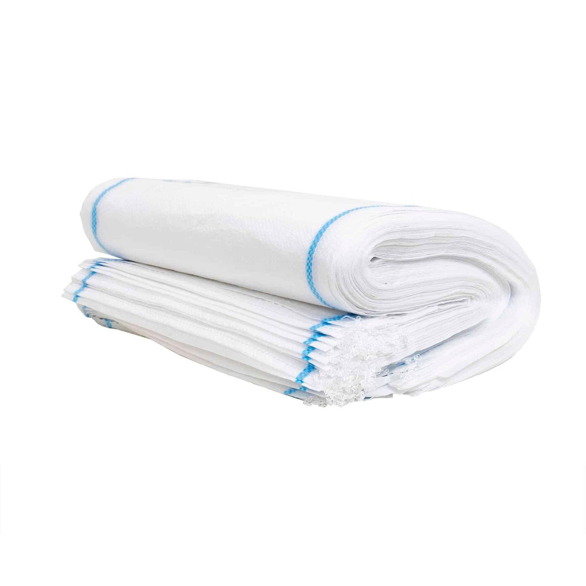 Pachet 10 saci de rafie 55x100 cm / 5166_10 - 221.ro