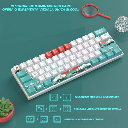 Tastatura Mecanica Timebox, 60%, Hot-Swap, RGB, Cablu Type-C Detasabil
