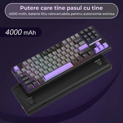 Tastatura Mecanica Gaming Timebox, 80%, Hot-Swap, Wireless, Gasket, Mov
