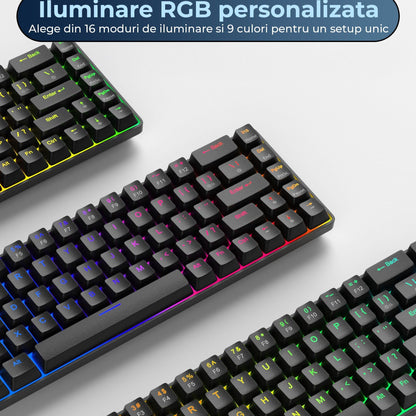 Tastatura Mecanica Gaming Timebox, Iluminare RGB Personalizata cu Switch-uri Rosii, Anti-Ghosting, Design Compact, Format 60% compact si Conectivitate USB-C, Negru - 221.ro