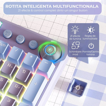 Tastatura Mecanica Gaming 104 Taste Timebox, Switch Albastru, Violet