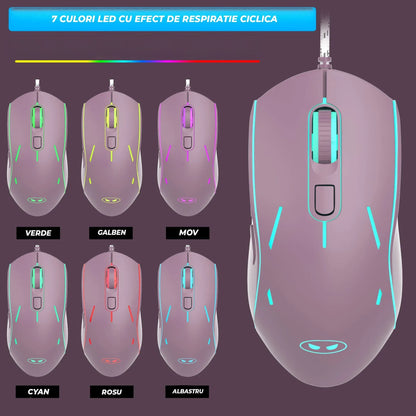 Kit Gaming TimeBox – Tastatura Full Size cu Carcasa Transparanta si 19 Taste Anti-Ghosting, 8 Culori RGB, Lumina Reglabilă, Mouse cu Iluminare LED 7 Culori si DPI Reglabil, Ergonomic, Mov - 221.ro