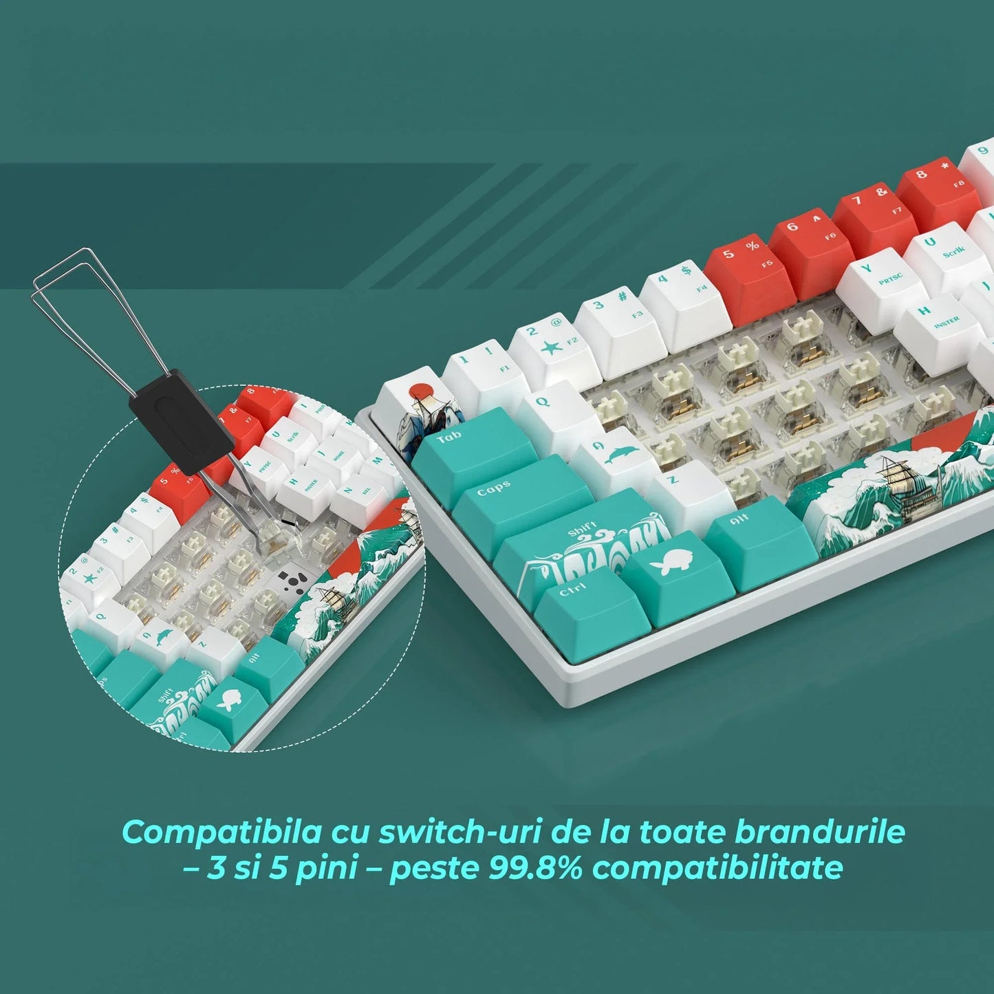 Tastatura Mecanica Timebox, 60%, Hot-Swap, RGB, Cablu Type-C Detasabil