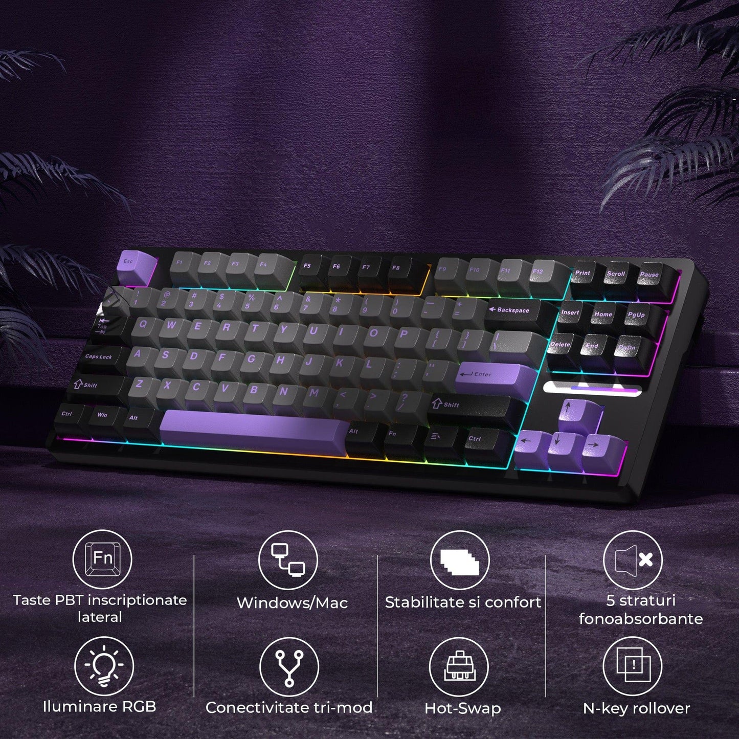 Tastatura Mecanica Gaming Timebox, 80%, Hot-Swap, Wireless, Gasket, Mov