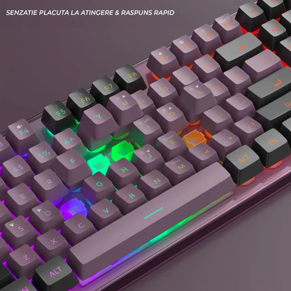 Kit Gaming TimeBox – Tastatura Full Size cu Carcasa Transparanta si 19 Taste Anti-Ghosting, 8 Culori RGB, Lumina Reglabilă, Mouse cu Iluminare LED 7 Culori si DPI Reglabil, Ergonomic, Mov - 221.ro