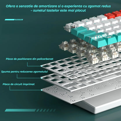 Tastatura Mecanica Timebox, 60%, Hot-Swap, RGB, Cablu Type-C Detasabil