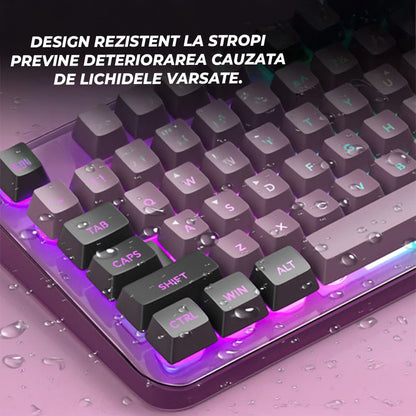 Kit Gaming TimeBox – Tastatura Full Size cu Carcasa Transparanta si 19 Taste Anti-Ghosting, 8 Culori RGB, Lumina Reglabilă, Mouse cu Iluminare LED 7 Culori si DPI Reglabil, Ergonomic, Mov - 221.ro