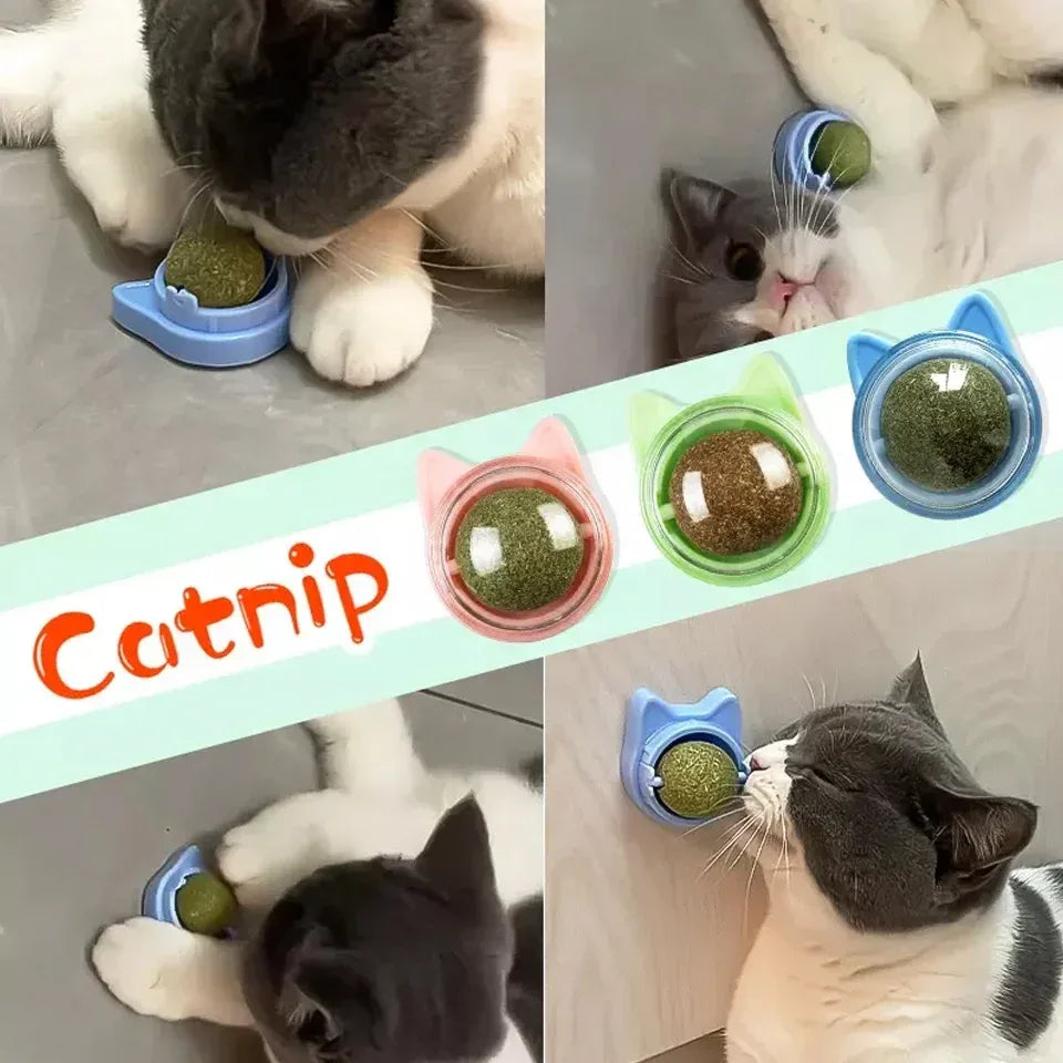 Sfera Catnip