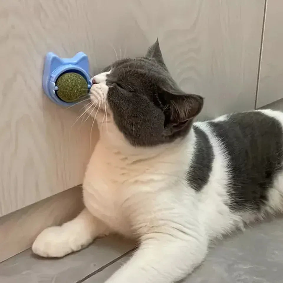 Sfera Catnip