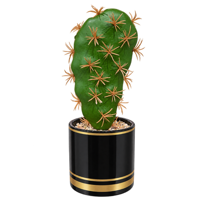 Cactus artificial cu 1 braț și ghiveci decorativ, Naimeed D2835-1cap, 23x8 cm, Verde/Negru