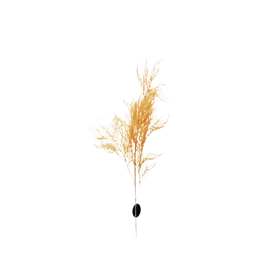 Planta artificiala cu 5 fire, Naimeed D3113, culoare Portocaliu, 90 x 20 cm