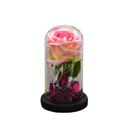 Aranjament floral in cupola de sticla, lumina Led, D4013, Roz