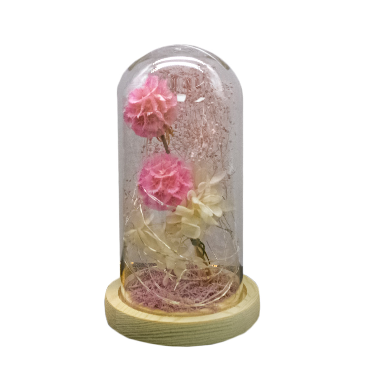 Aranjament floral in cupola de sticla, lumina Led, D4024, Roz
