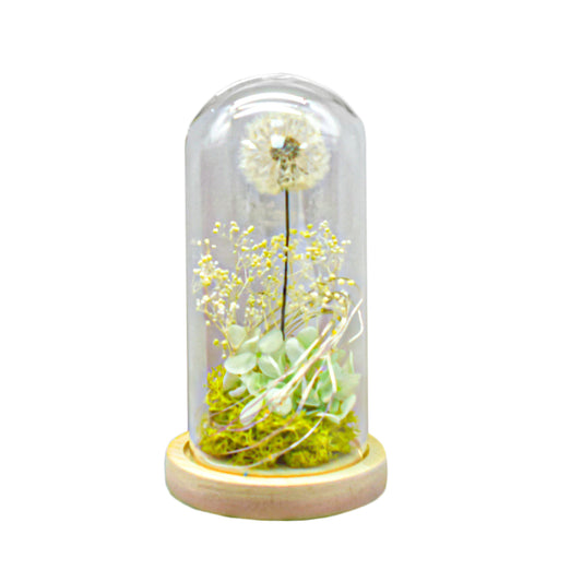Aranjament floral in cupola de sticla, lumina Led, D4025, Alb